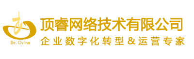 專業數字化轉型運營專家；企業信息化建設顧問；企業數字化創新平臺定制研發-頂睿網絡